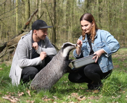 Wildpark NRW - Biotopwildpark Anholter Schweiz