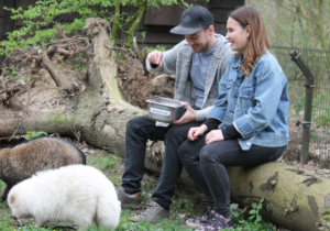 Wildpark NRW - Biotopwildpark Anholter Schweiz